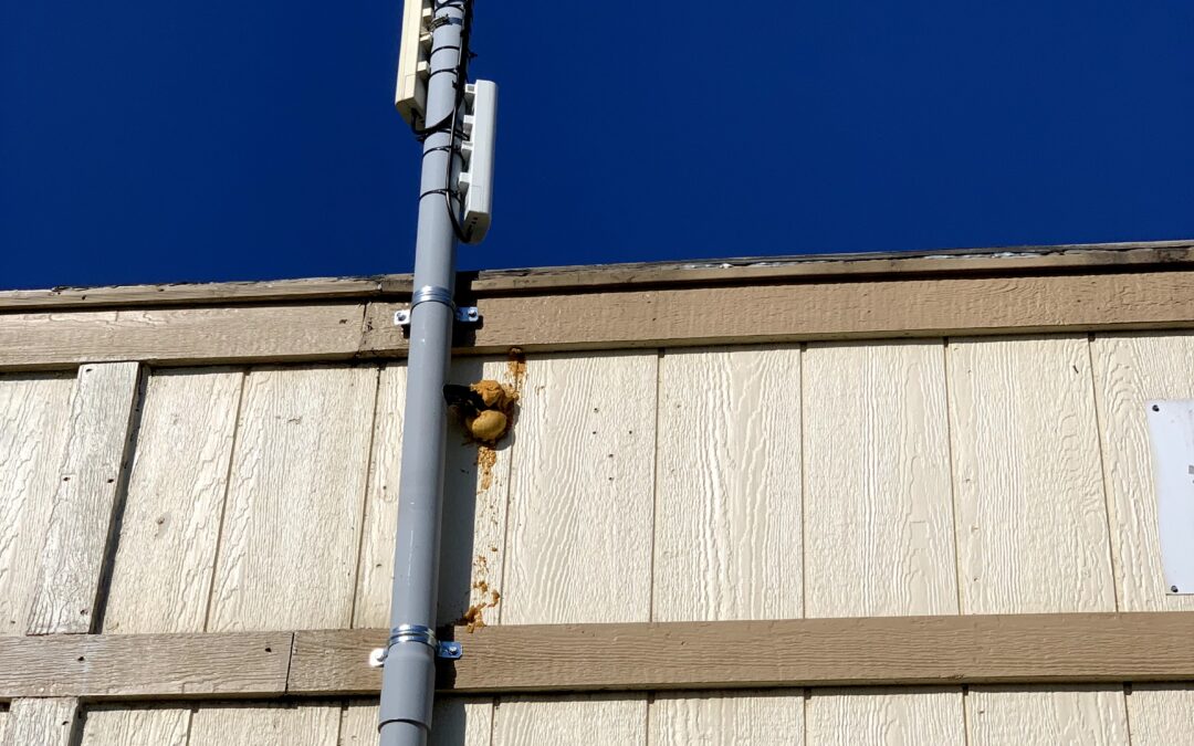 Installing a Distributed Antenna System: What You Need to Know